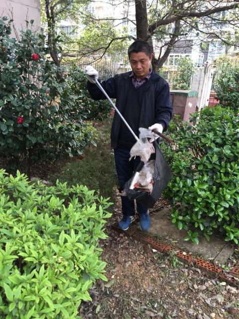 控制鼠害、預(yù)防疾病，構(gòu)建和諧文明社區(qū)